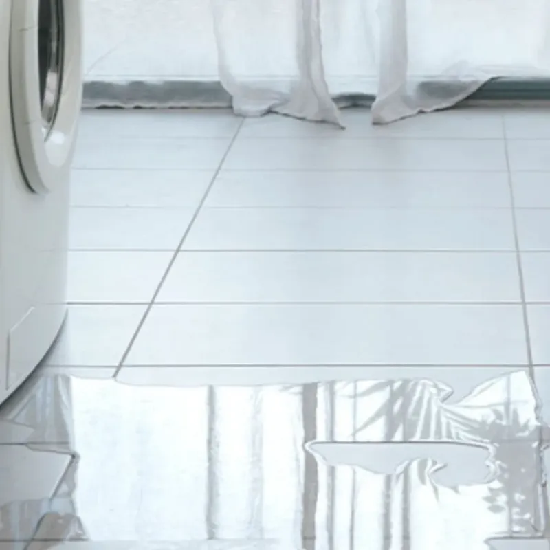 Appliance Leak Cleanup in Conway, FL
